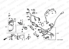 F-23 WIRING HARNESS / IGNITION COIL