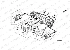 F-24 REAR COMBINATION LAMP