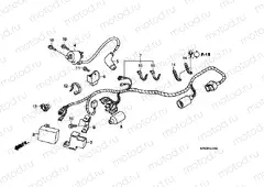 F-24 WIRING HARNESS