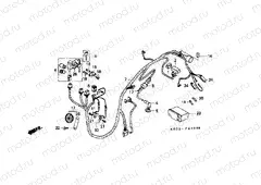 F-24 WIRING HARNESS