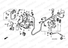 F-24 WIRING HARNESS / IGNITION COIL
