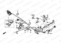 F-25-1 WIRING HARNESS (C90MP / MT)