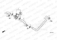 F-25-20 AIR INJECTION CONTROL VALVE