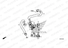 F-25-20 AIR INJECTION SOLENOID VALVE