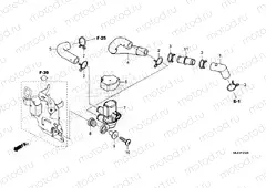 F-25-20 AIR INJECTION SOLENOID VALVE
