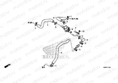 F-25-20 AIR INJECTION SOLENOID VALVE