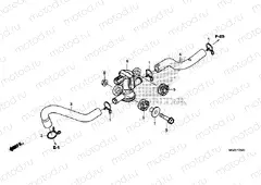 F-25-20 AIR INJECTION SOLENOID VALVE