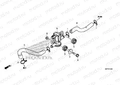 F-25-20 AIR INJECTION SOLENOID VALVE
