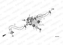 F-25-20 AIR INJECTION SOLENOID VALVE