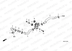 F-25-20 AIR INJECTION SOLENOID VALVE