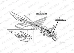 F-25 STRIP / SIGNAL (CRF70F4 / 5)