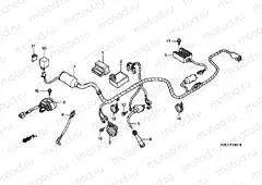 F-26-1 WIRING HARNESS / IGNITION COIL (CL / DK / ED / U)