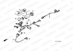 F-26-2 WIRING HARNESS / IGNITION COIL (3)