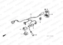 F-26 WIRING HARNESS / IGNITION COIL (CM)