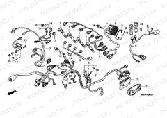 F-28-2 WIRING HARNESS (04 -06)