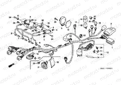 F-28-2 WIRING HARNESS (CB600F3 / 4/5/6)