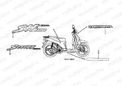 F-28 SIGN / STRIP (1)