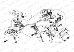 F-28 WIRING HARNESS / IGNITION COIL (1)