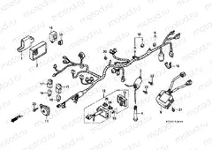 F-28 WIRING HARNESS / IGNITION COIL