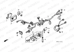 F-28 WIRING HARNESS / IGNITION COIL