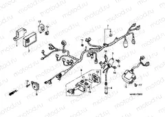 F-28 WIRING HARNESS / IGNITION COIL