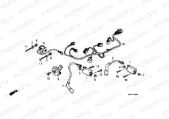 F-29-1 ADDITIONAL WIRING HARNESS / IGNITION COIL