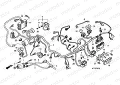 F-29-1 WIRE HARNESS (FJS600A3/A4/A5)