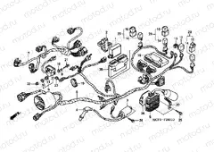 F-29-1 WIRING HARNESS (REAR)