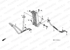 F-29 OIL COOLER