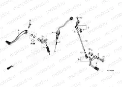F-29 PEDAL