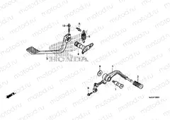 F-29 PEDAL