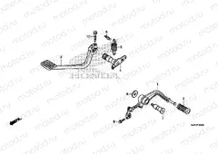 F-29 PEDAL