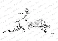F-29 PEDAL