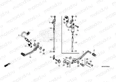 F-29 PEDAL