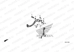 F-29 PEDAL