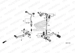 F-29 PEDAL