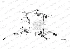 F-29 PEDAL