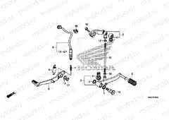 F-29 PEDAL