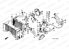 F-29 RADIATOR