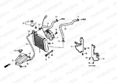 F-29 RADIATOR