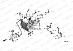 F-29 RADIATOR