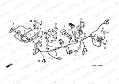 F-29 WIRING HARNESS (CBF600S / SA)