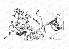 F-29 WIRING HARNESS (FRONT)