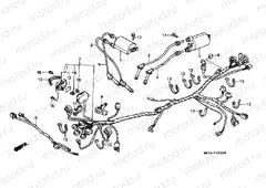 F-29 WIRING HARNESS / IGNITION COIL