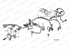 F-29 WIRING HARNESS (S)