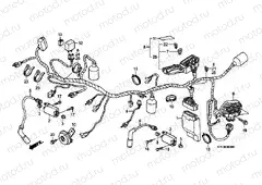 F-29 WIRING HARNESS (XL125V1 / 2/3/4/5/6)