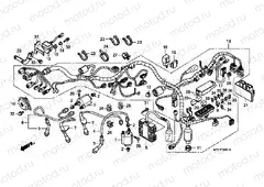 F-30-1 WIRING HARNESS (VT750C2S)