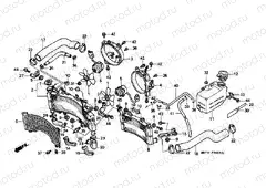 F-30 RADIATOR