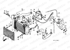 F-30 RADIATOR