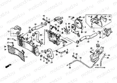 F-30 RADIATOR